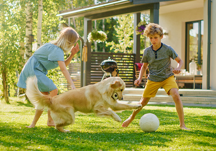 Two children play fetch with their golden retriever on the sunny lawn of their dog-friendly Perry Homes backyard in Texas.