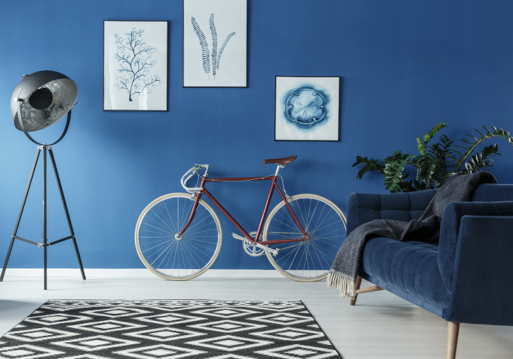 Living room with royal blue wall, framed sketches, blue velvet sofa, bicycle, eclectic floor lamp, black and white area rug
